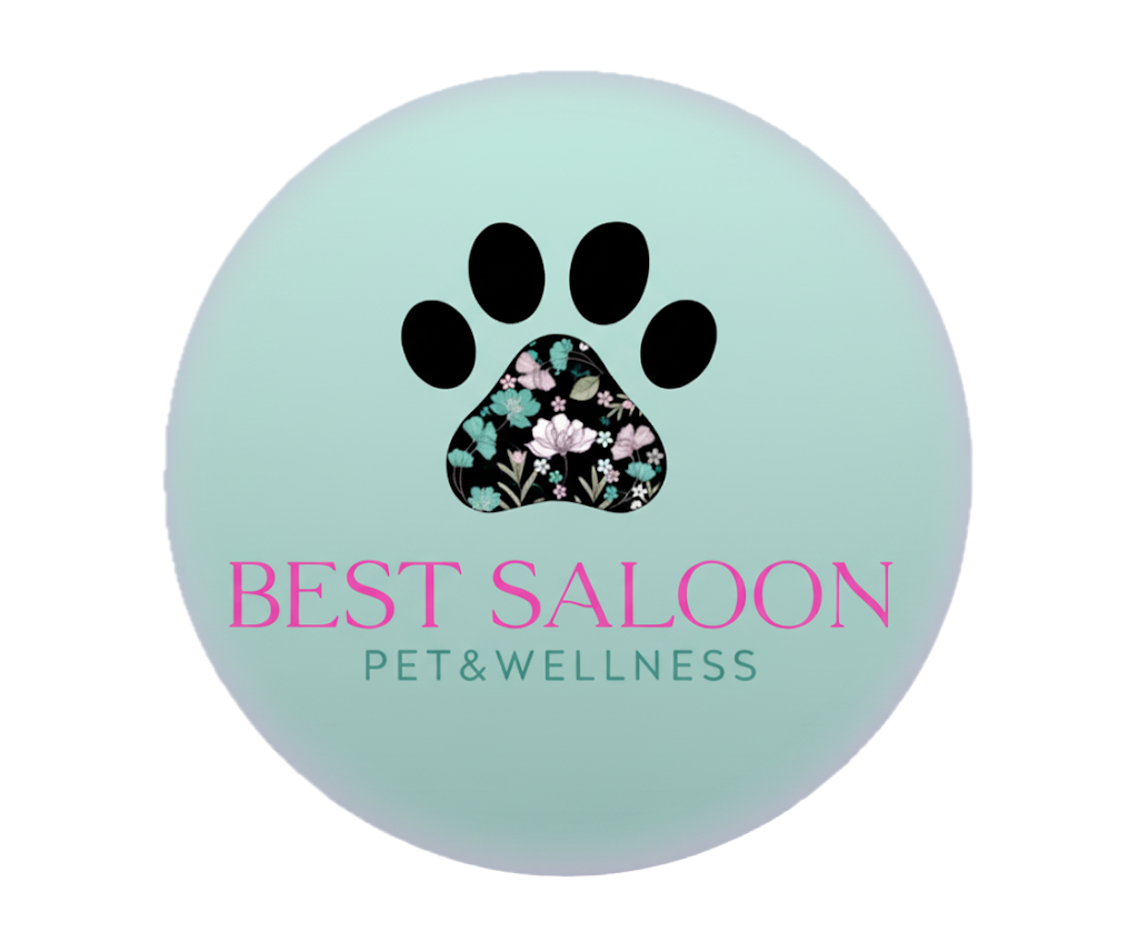 Pet & Wellness — Best Saloon, toelettatura a Faloppio (Como)